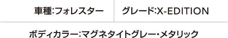 車種：フォレスター グレード：X-EDITION ボディカラー：マグネタイトグレー・メタリック